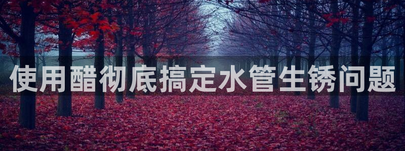 球盟会官网登录入口