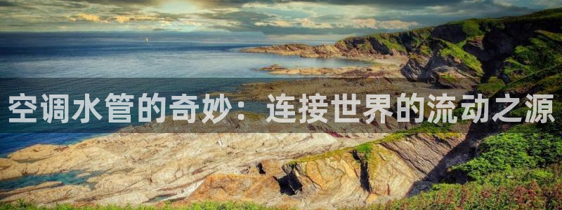 球盟会官方网入口