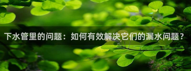 球盟会下款快吗