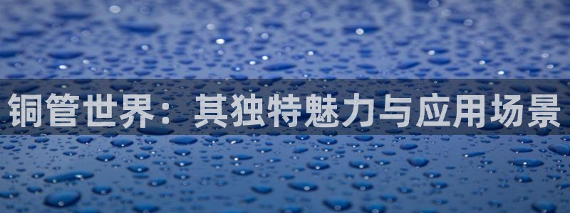 球盟会登录网址