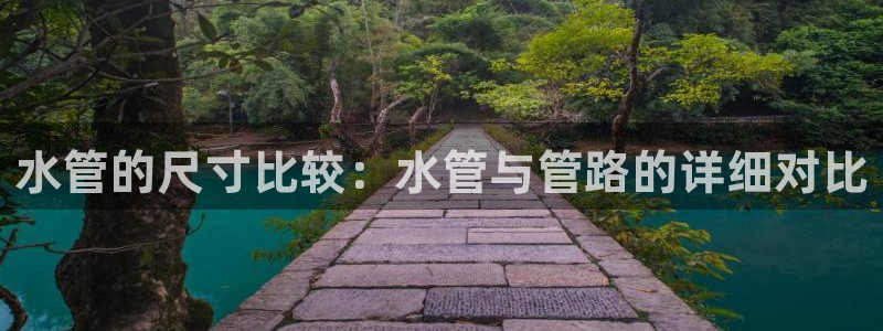 球盟会平台会黑单吗