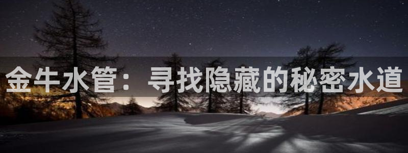 球盟会官方客服