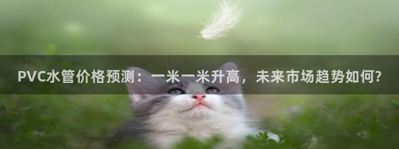 球盟会头号玩家