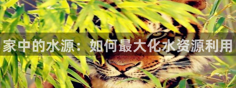 球盟会最新地址备用