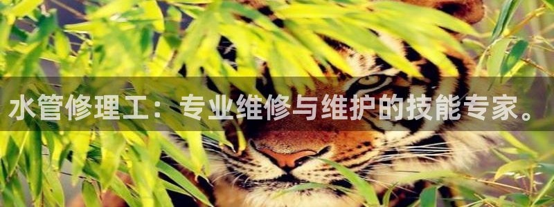 球盟会和中欧合作吗