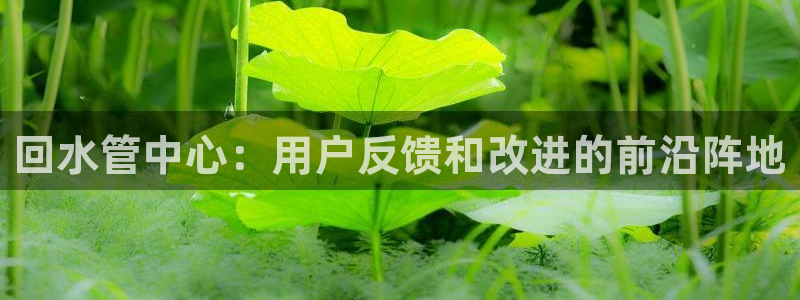 球盟会网页登录app下载地址