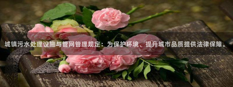 球盟会登陆入口