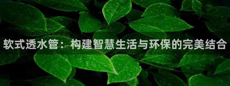 球盟会官方网站是什么