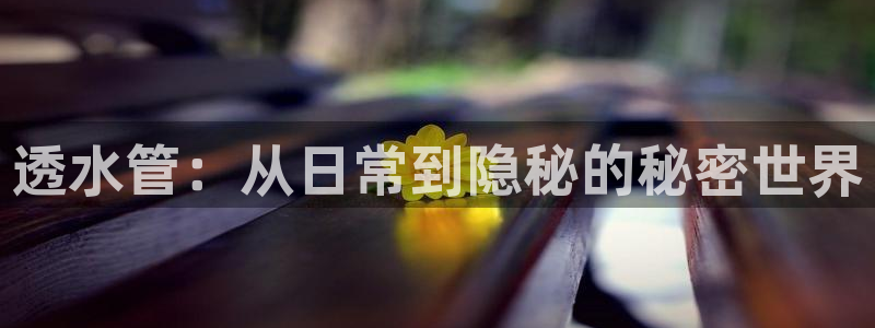 球盟会qmh - 球盟会官方网站