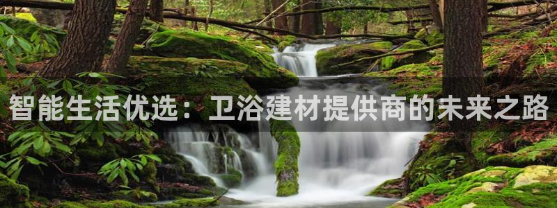 球盟会黑台子吗