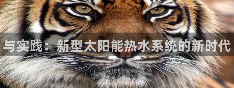 球盟会能退钱吗知乎