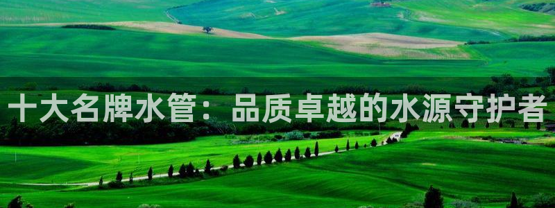 球盟会能提现吗是真的吗