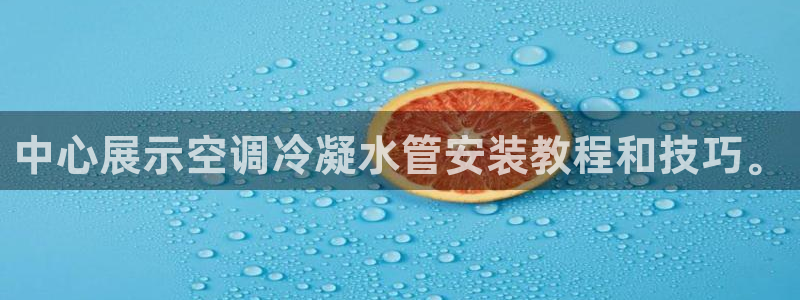 球盟会国际官网