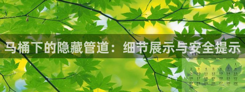 球盟会可靠不